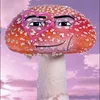 omega_toadstool