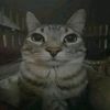 teffman_012