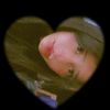 chochil_52