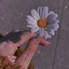 rawda.elswah