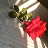 _naima_724