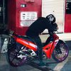dhimz956_
