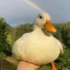 theduckkww