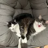 willi_mimi