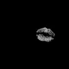 christty_yansm