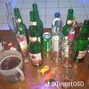 pitihabiskawanlari