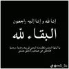 user4447221139814