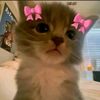 miyah.m5