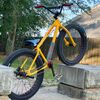 bikelife_ecg