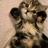 lesley_27489