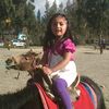 ariss.mp_