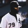darwin.toro37
