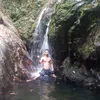 nh.ch337
