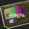 GSN TV