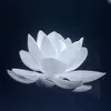 anna8075