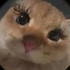 yullinis_