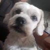ever.cubas.chilco