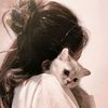 lipa_240