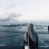 shesil0804