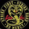 cobrakai3120