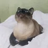 niggor5
