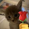 _floweryyzaa