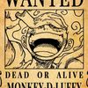 monkeydluffy7786