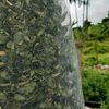 santosa.jaya89