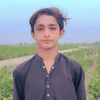 shahnawazmari521