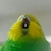 tovaengstrm