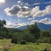 ayman.algeria1