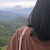 vn_ssa08