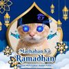 raka.maulana3123