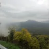 pooki_kaki