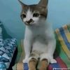 sfiiddfyui