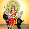 raja.meldi77403475