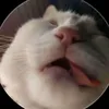 bao.bi.mat.acc