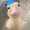 duck.nek2007