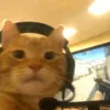 brownnahotdog5