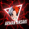 arman.ansari8939