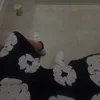 plxand