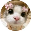 user49806181711545