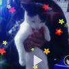 kiti_peluchin_luki