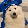 _ronaldo_8776
