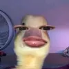 bhacuteso1thegioi