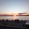 vvivk_zedlain1356