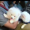 hnin.mhone.wai