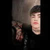 qz8q_