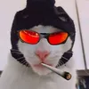 emss_abrx_crz