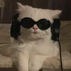 jake.harvey56